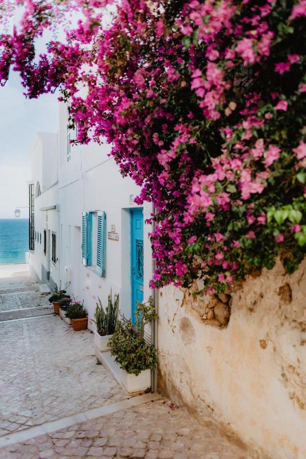 Home Santa Clara البوفيرا المظهر الخارجي الصورة